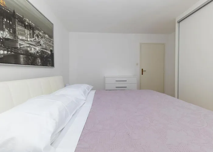 公寓 Happy 扎达尔